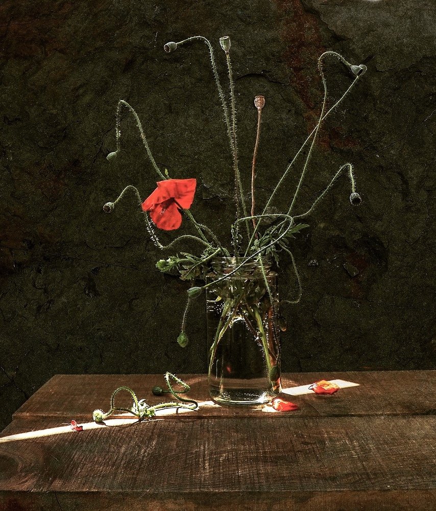 Танцующий мак.