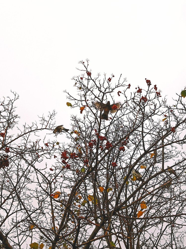 Photograph by Юрий Савенко