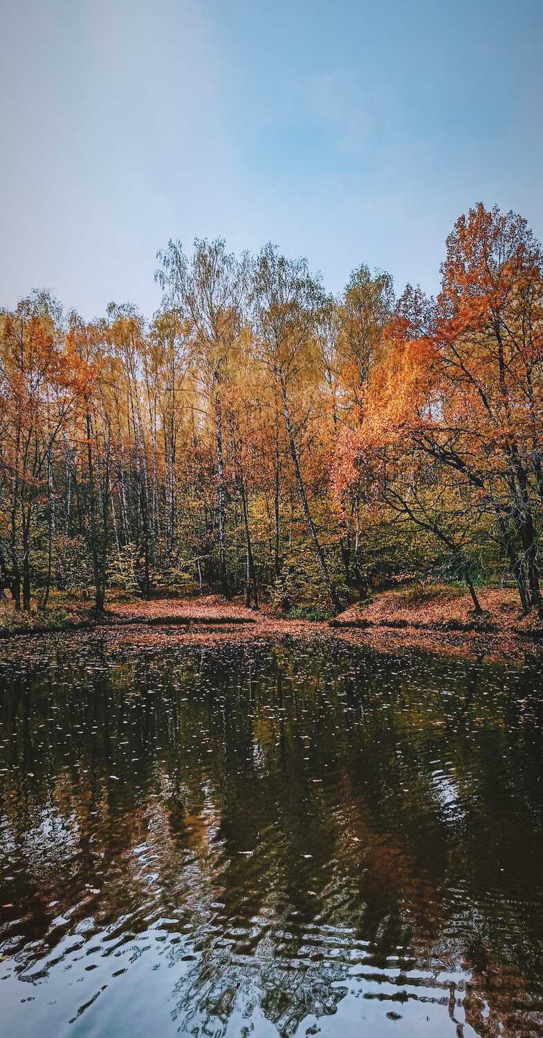 Фотография #5127490