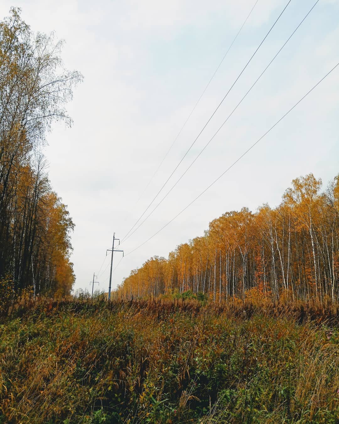 Photo #5127495
