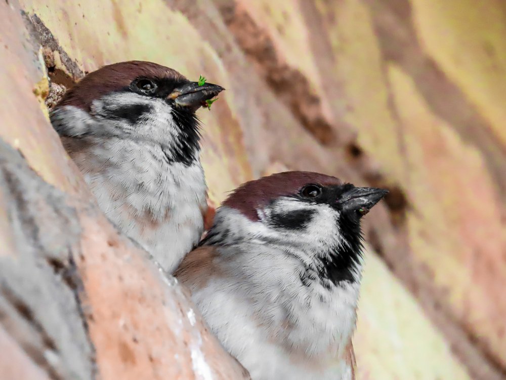 Photograph by Юлия Ключик