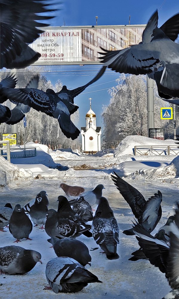 Photograph by Игорь Шадрин