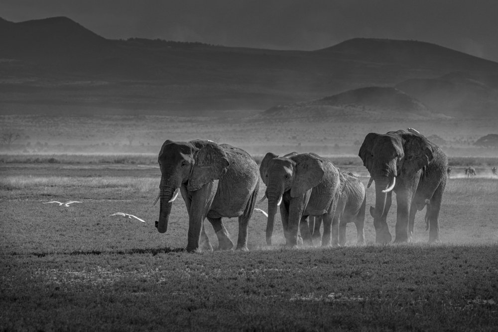 Photograph by Smita Behera