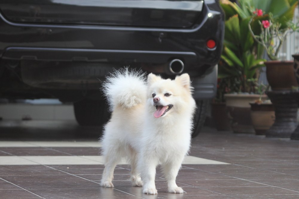 Photograph by Chia Teck Kang