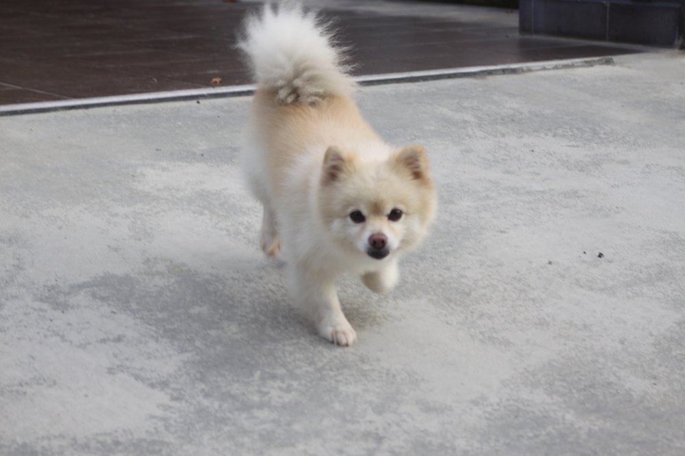 Photograph by Chia Teck Kang