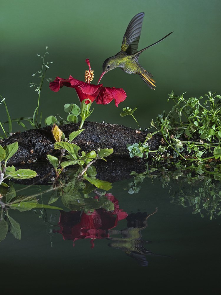 Photograph by Esteban Argerich