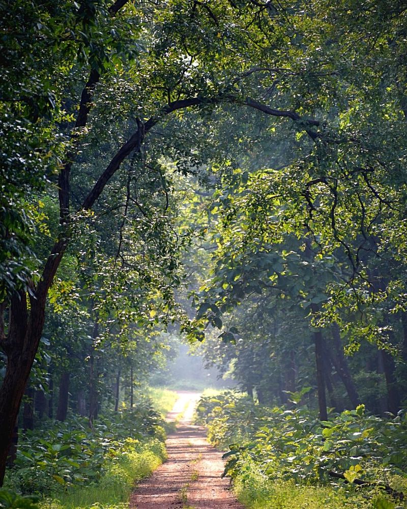 Photograph by Aahana Patole