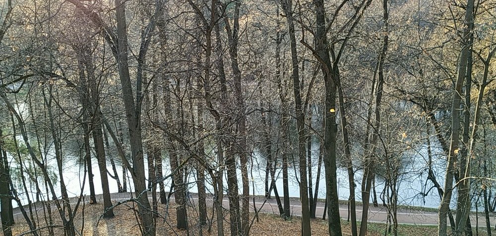 Photograph by Владимир Спиридонов