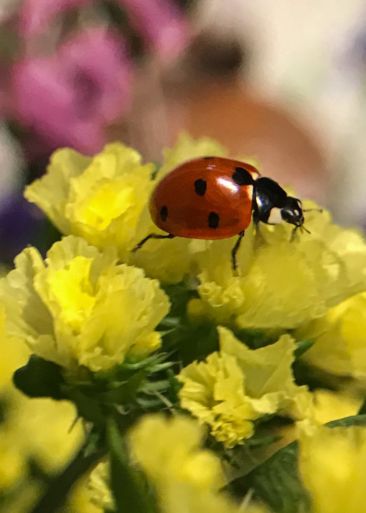 Photograph by Наталья Перерва