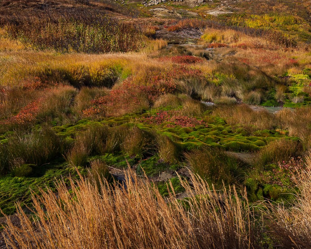 Photograph by Виктория Иванова