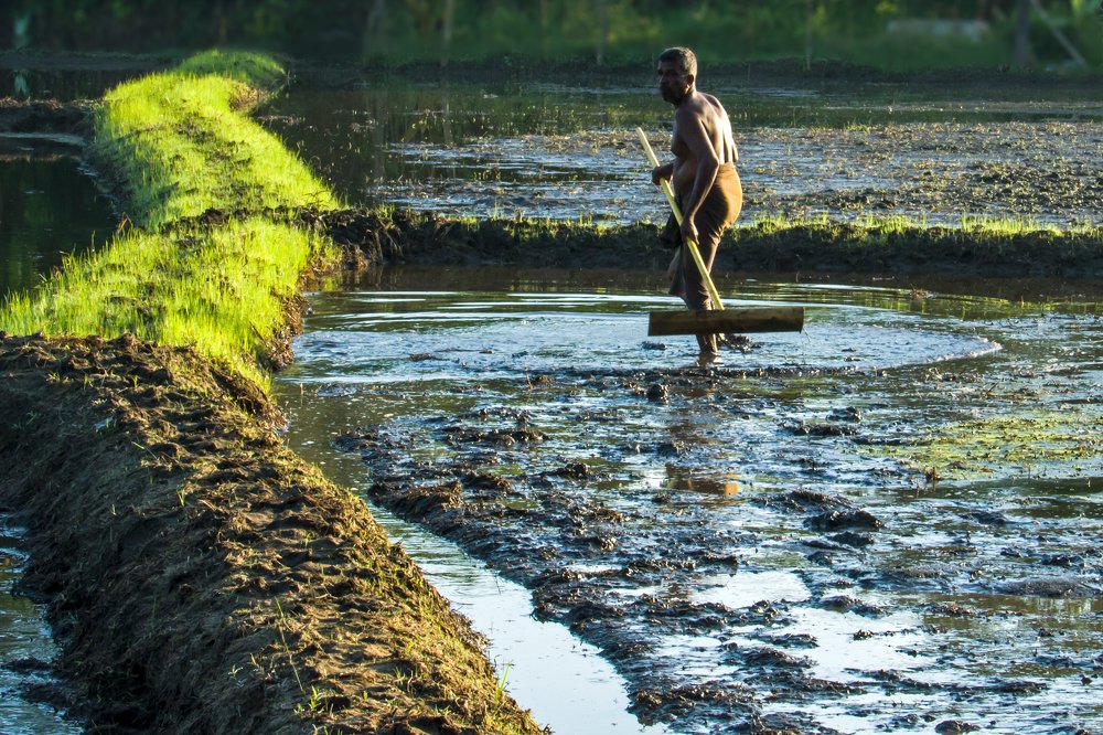 Photograph by Sarath De Vass Gunawardane