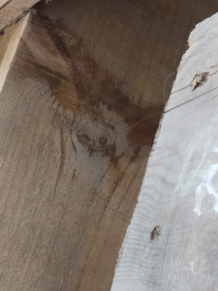 Photograph by Алена Бржезицкая