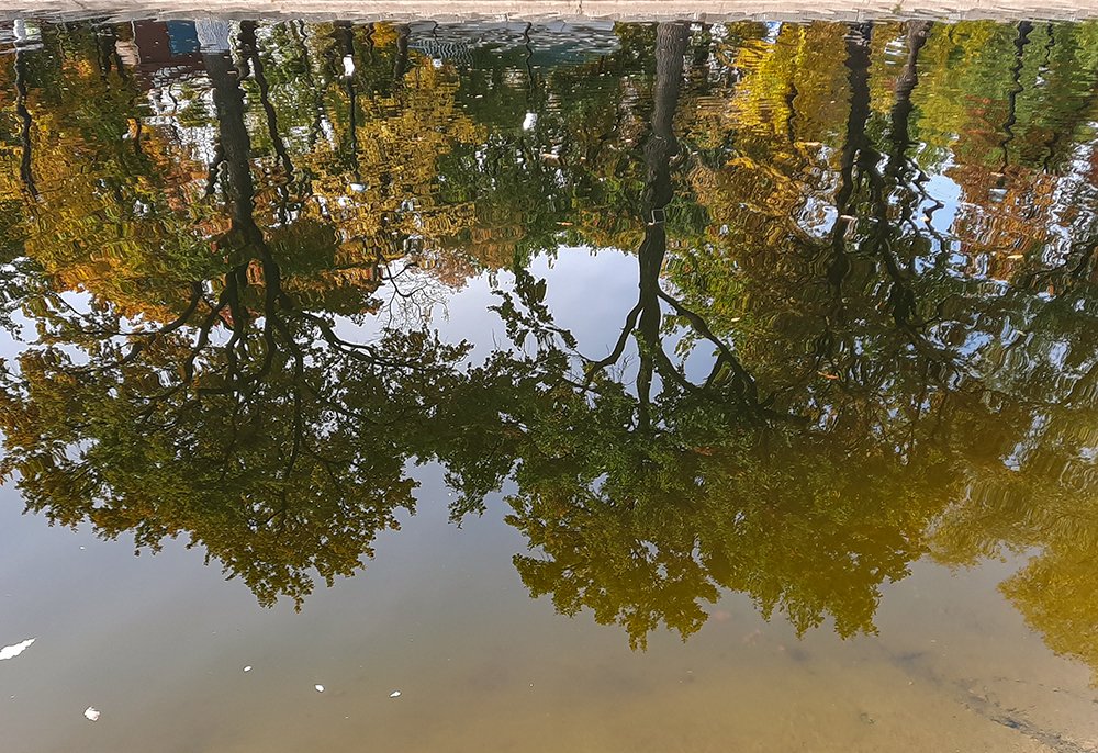 Photograph by Elena Khalizova