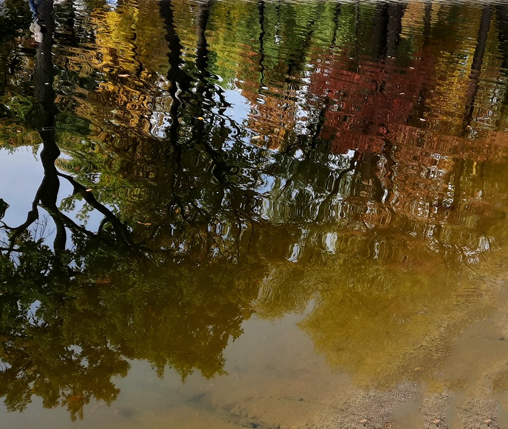 Photograph by Elena Khalizova