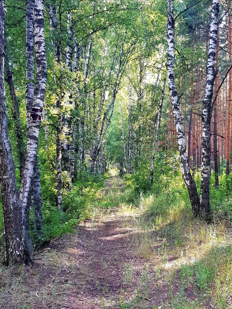 Photograph by Ольга Пумочка-13