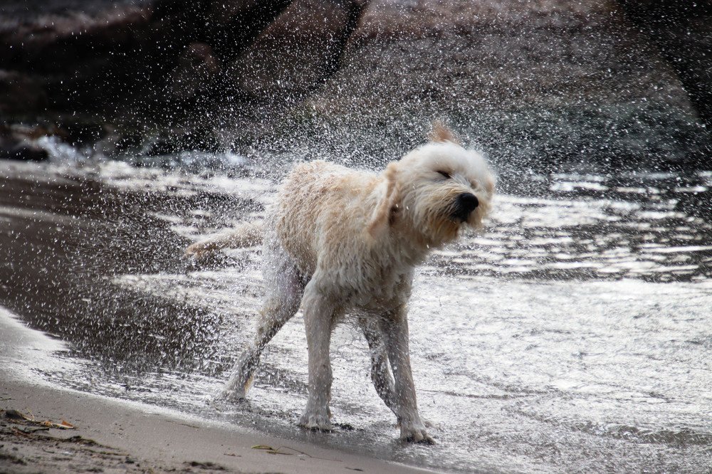 Photograph by Olga Vasina