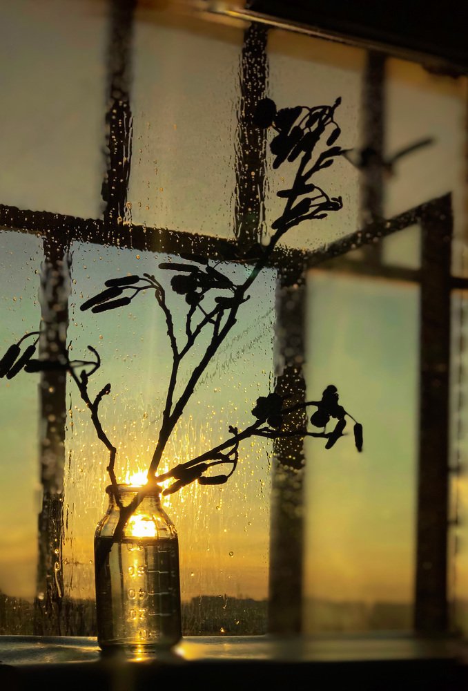 Утро нового дня