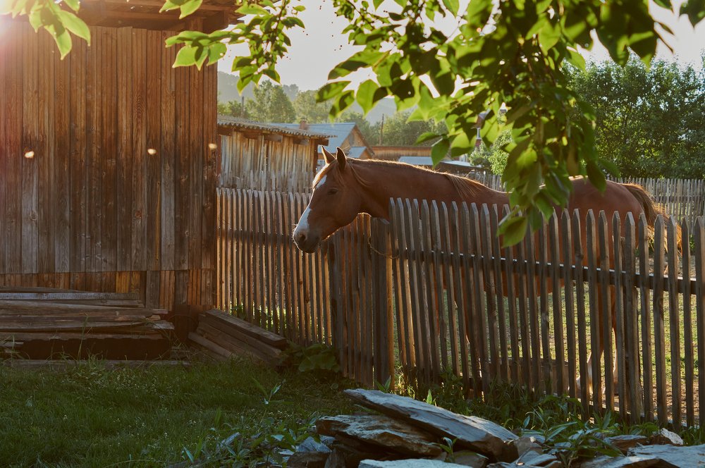 Photograph by Ирина Секачева