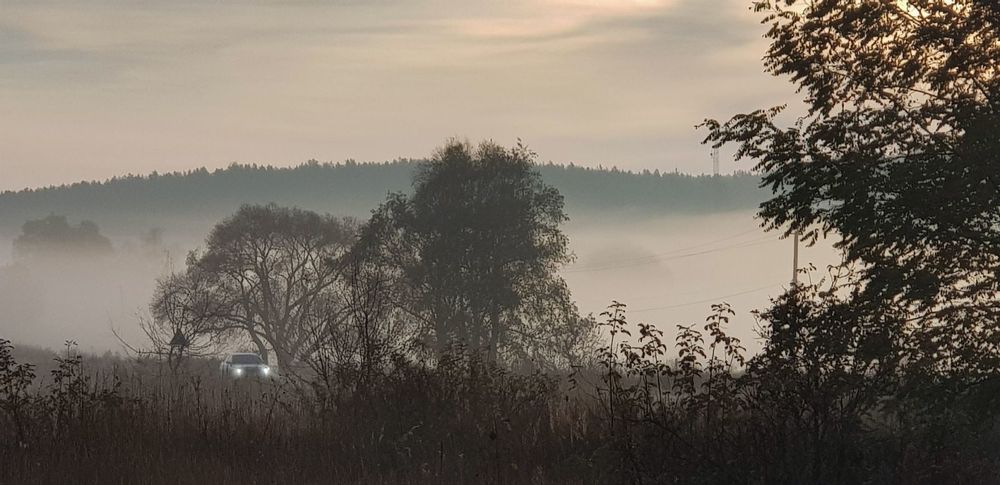 Photograph by Светлана Эленевич