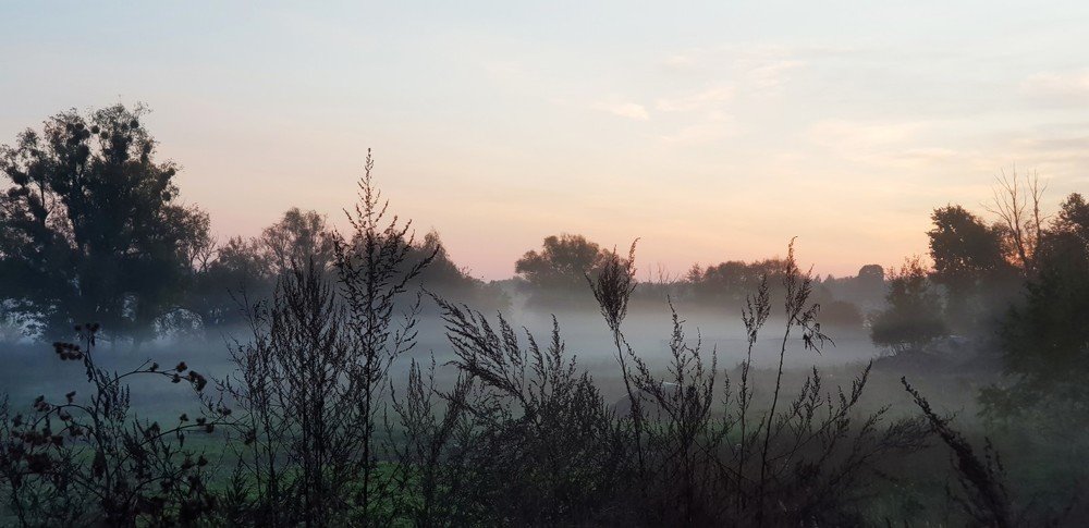 Photograph by Светлана Эленевич