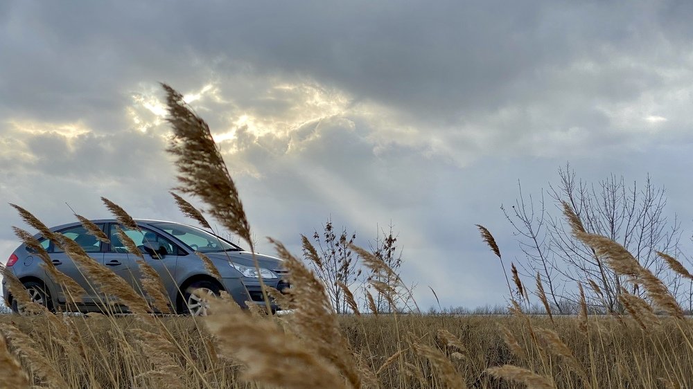 Нос по ветру