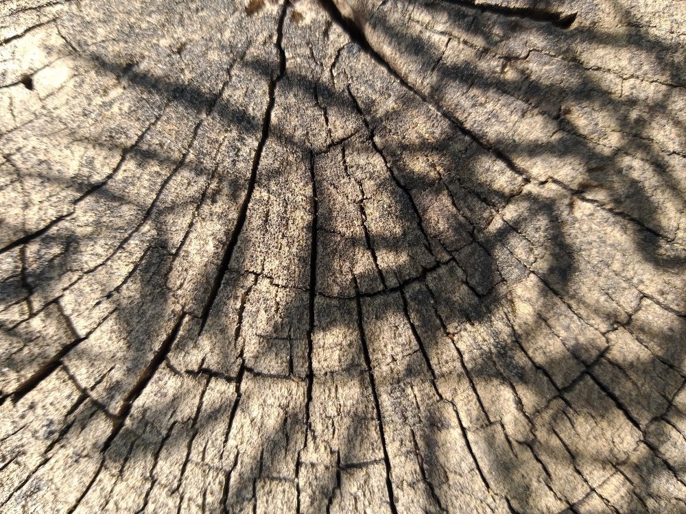 Photograph by Sourav Mahant