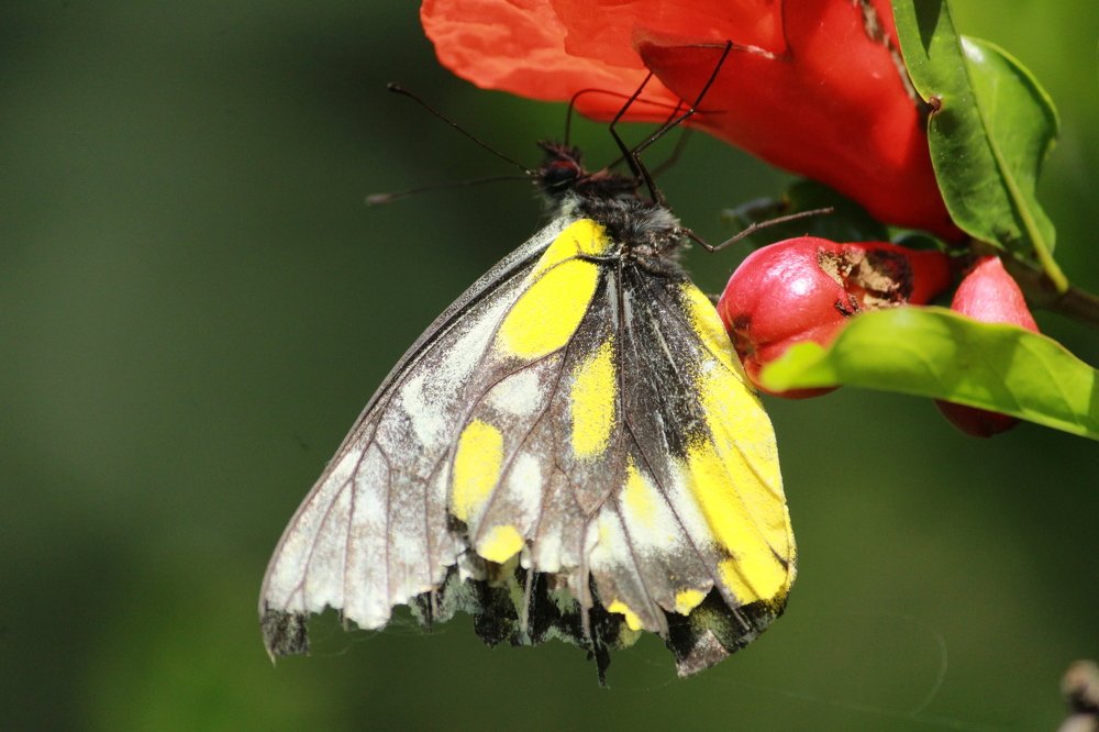 Photograph by Sourav Mahant
