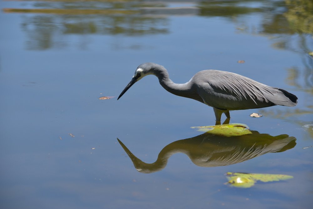 Photograph by Игорь