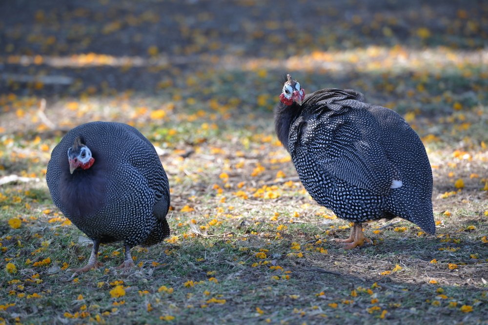 Photograph by Игорь