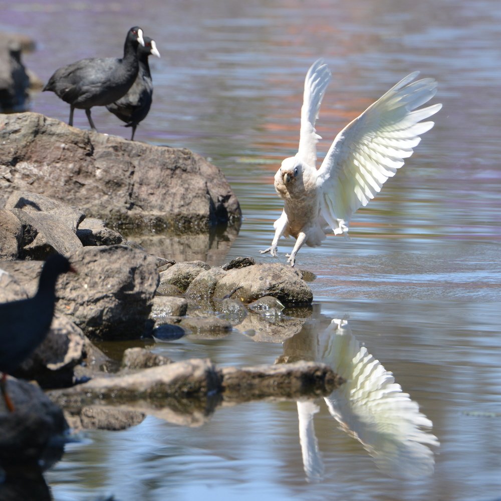 Photograph by Игорь