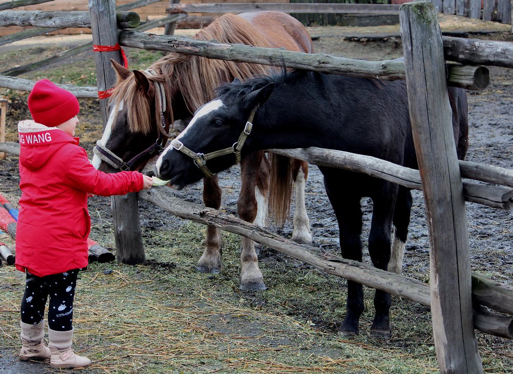 Photograph by Игорь Быков