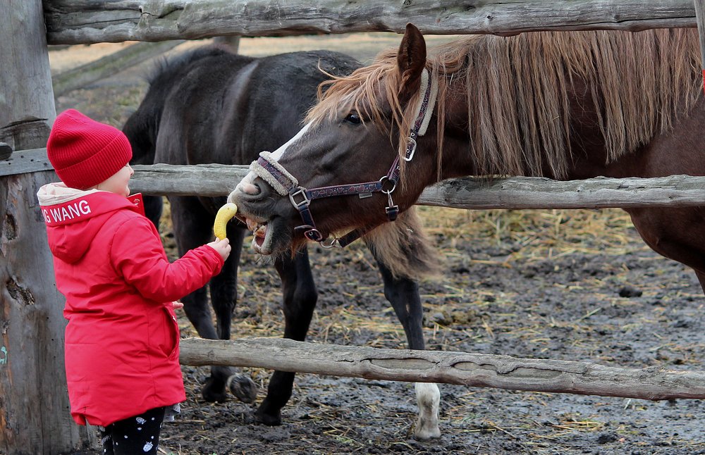 Photograph by Игорь Быков