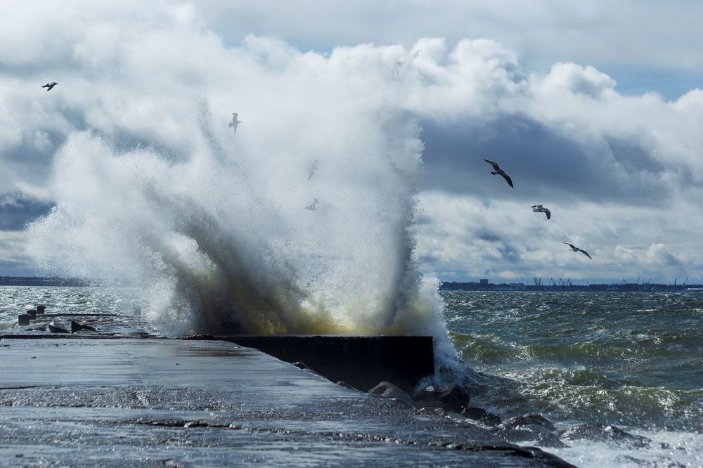 Photograph by Yulia Nikolaeva