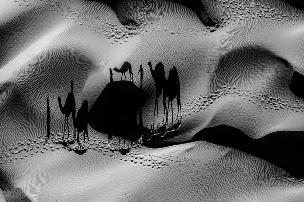 My Dream between Desert