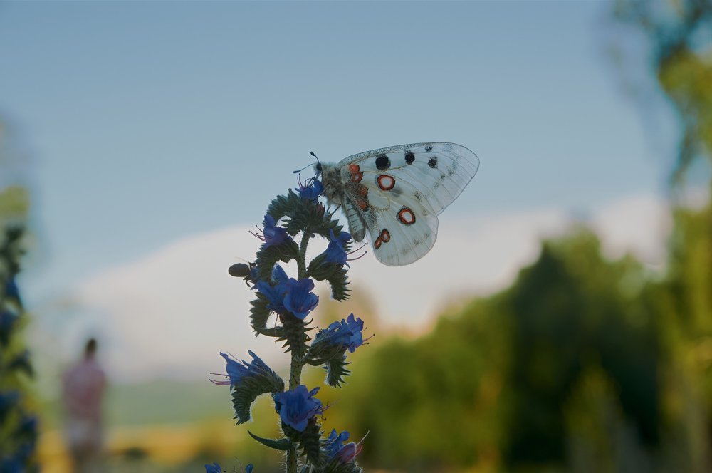 Photograph by Ирина Секачева