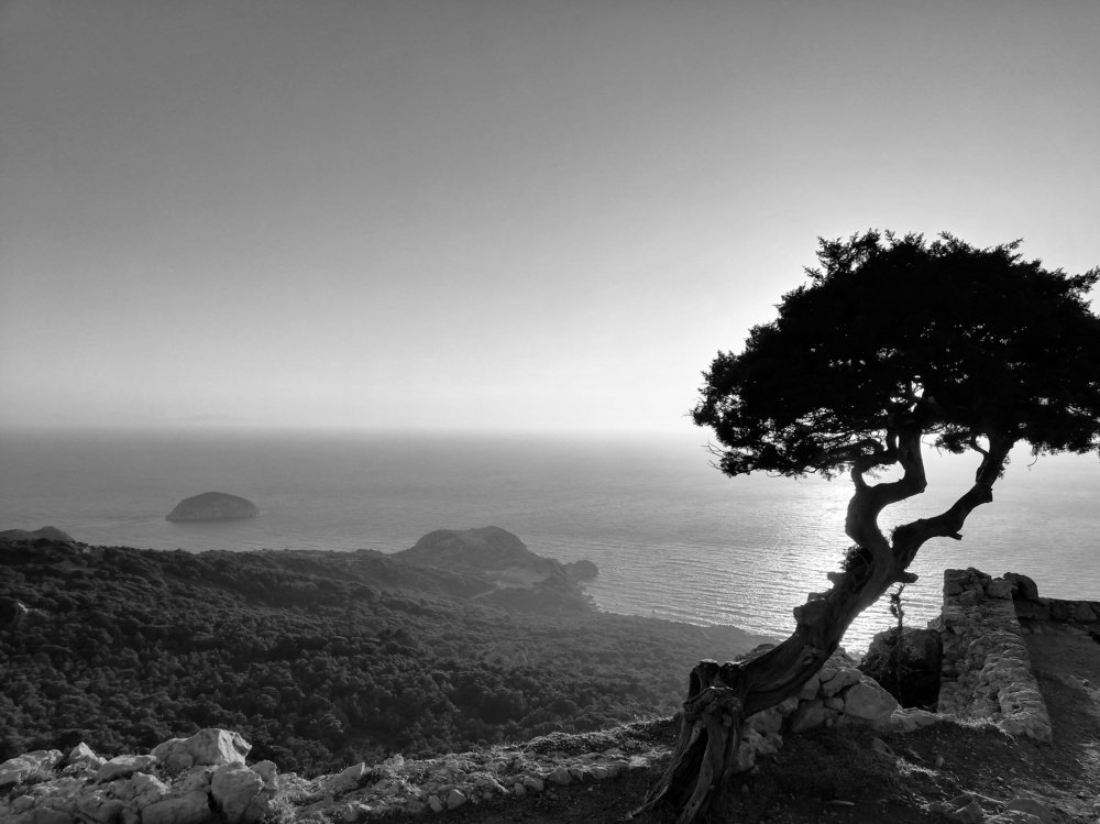 Photograph by Анна