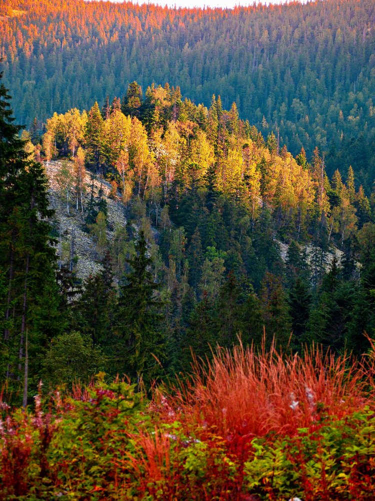 Photograph by Марина Сидоренко