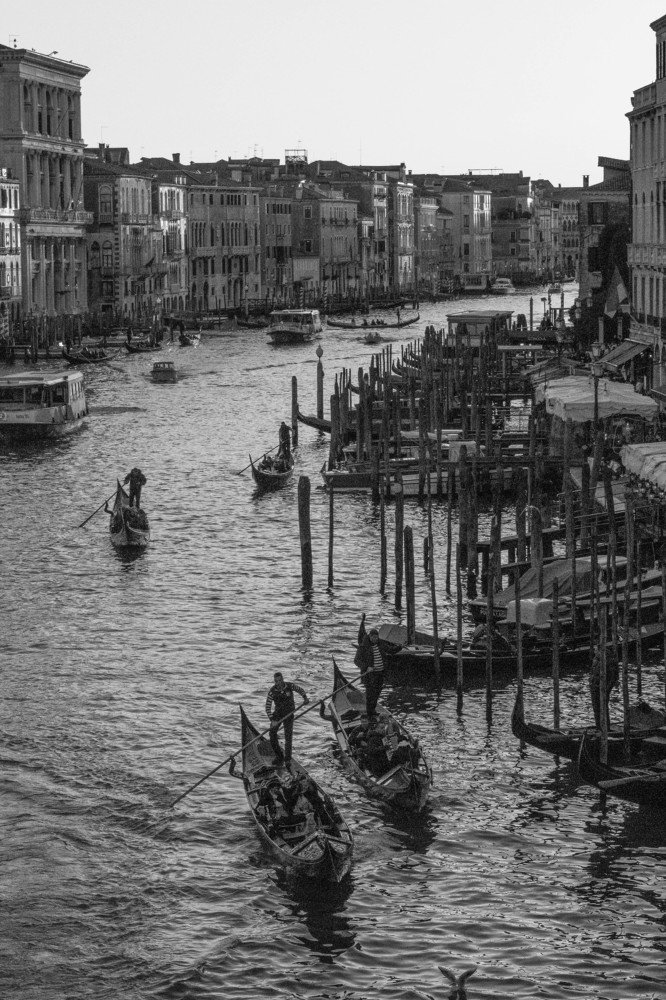 Photograph by Dinesh Umagiliya