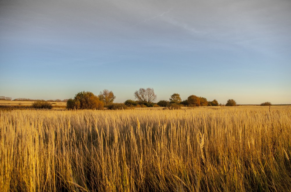 Краски природы перед зимним сном
