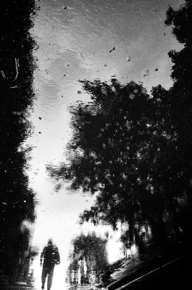 Photograph by Евгений Шаплов