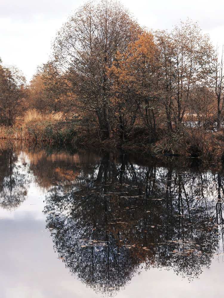 Photograph by Виктория Кузина