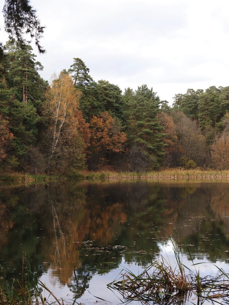 Photograph by Виктория Кузина