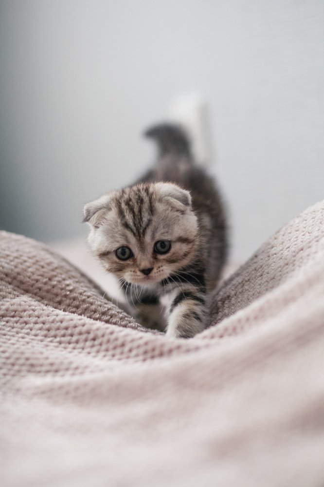 Photograph by Лазарева Анна Игоревна