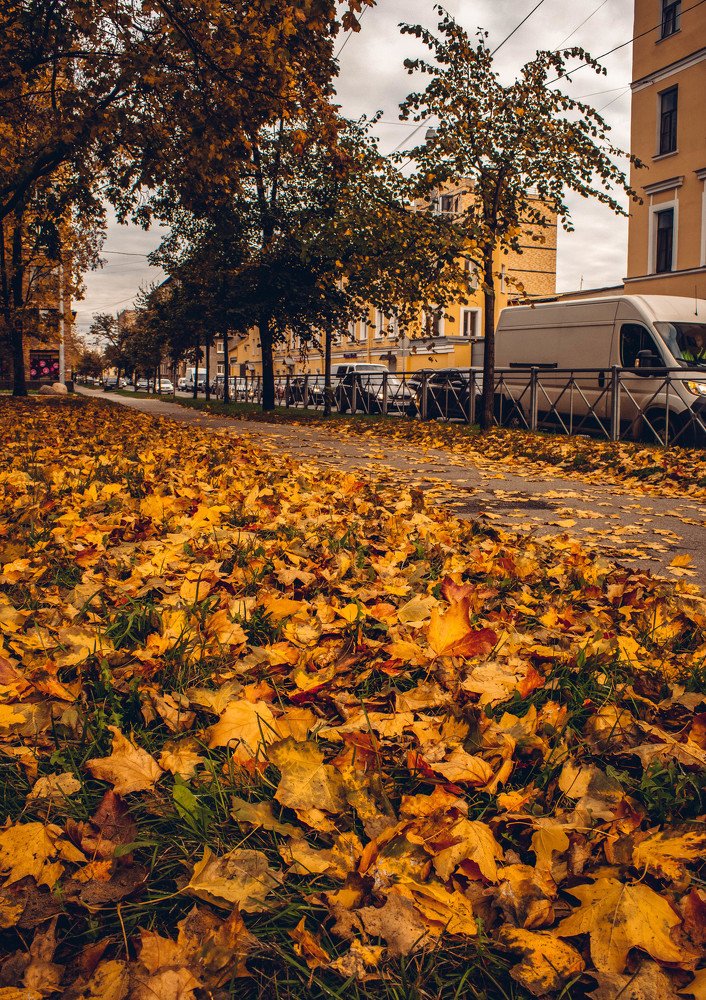 Photograph by Ольга Андрианова
