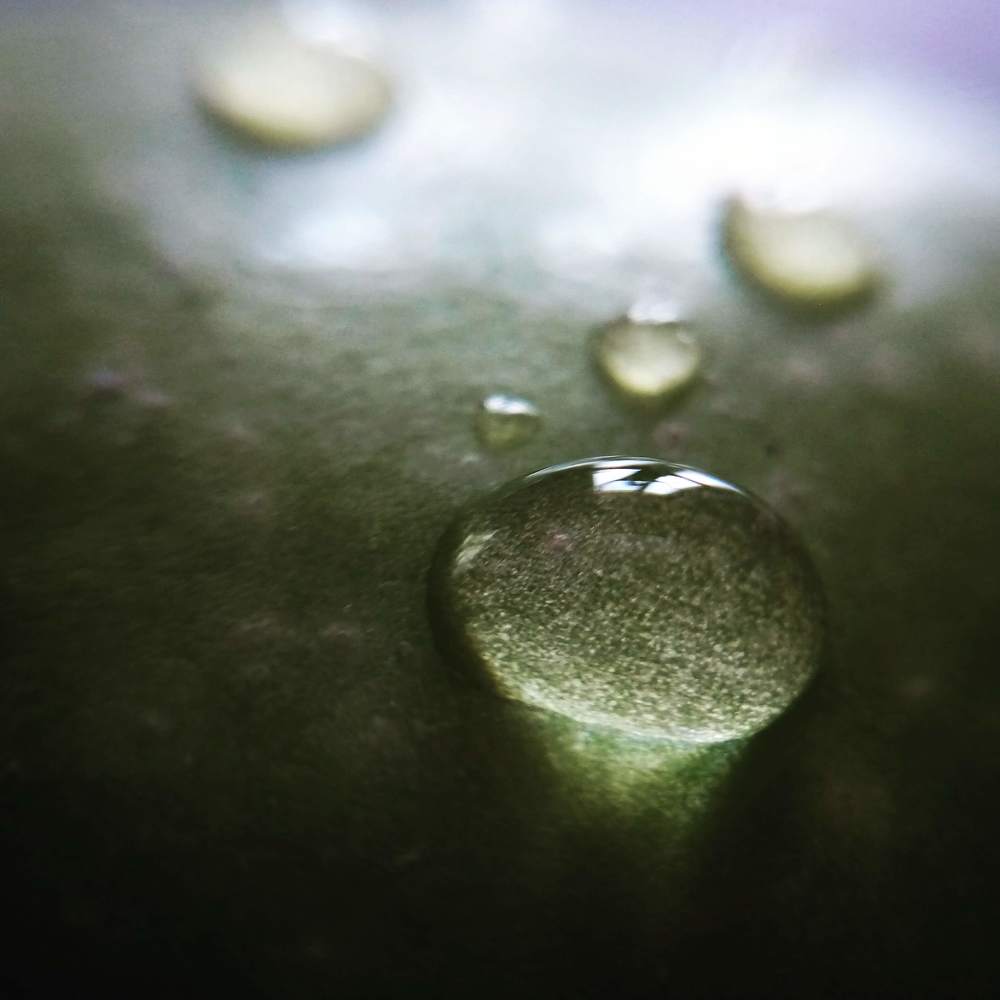 Photograph by Анна Перегудова
