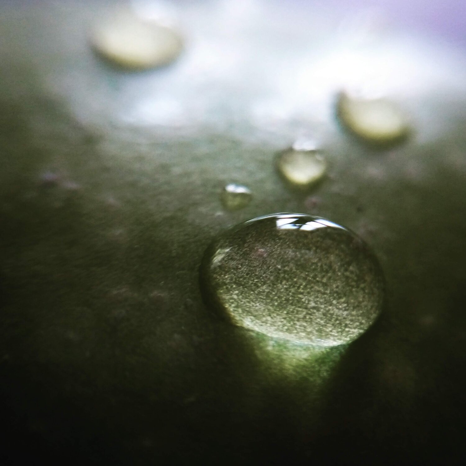 Photo #5128289