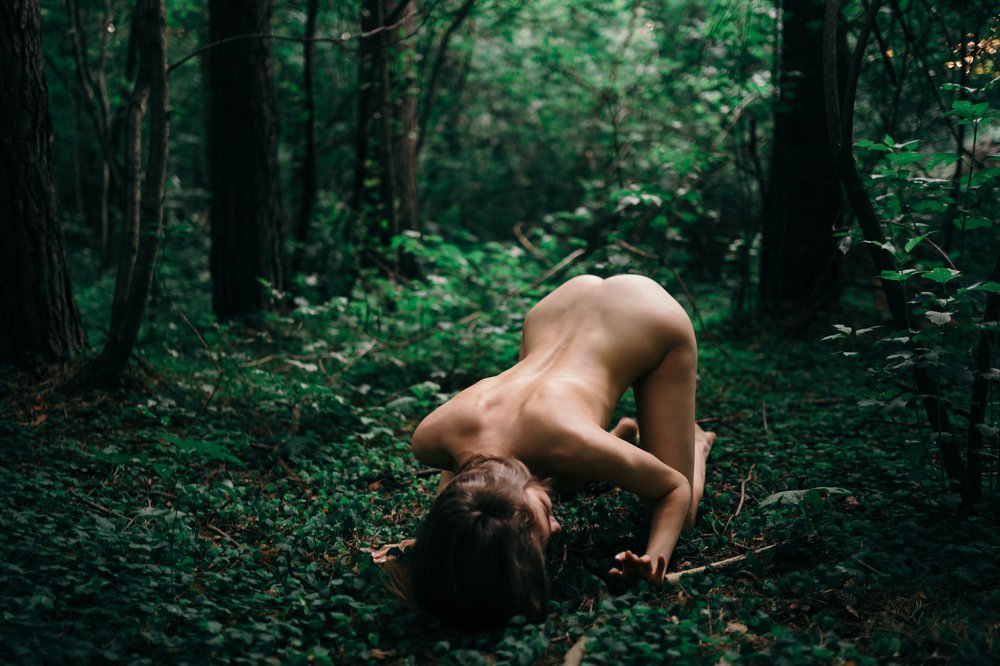 Фотография автора Dima Minakin