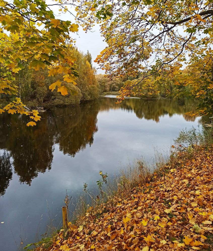 Просто осень.