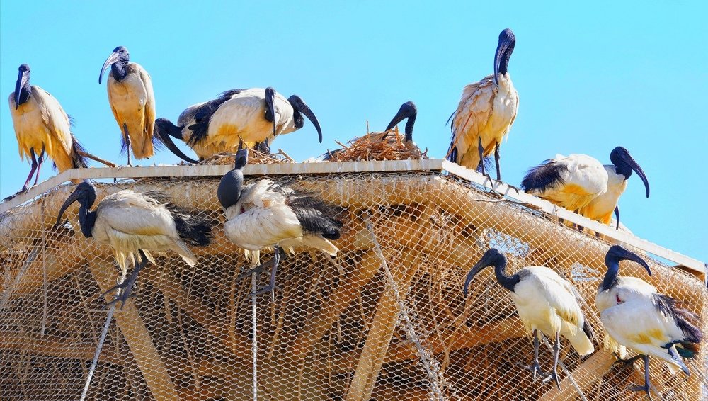 Photograph by WYNN MARK PALLAN