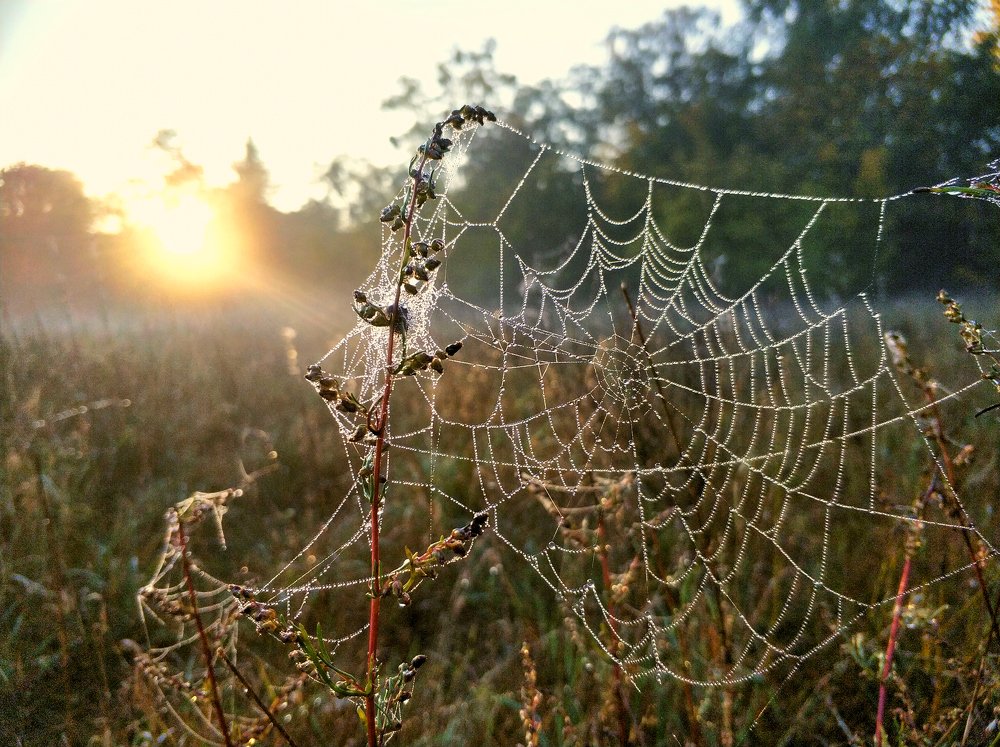 Photograph by Aliaksandr Savin